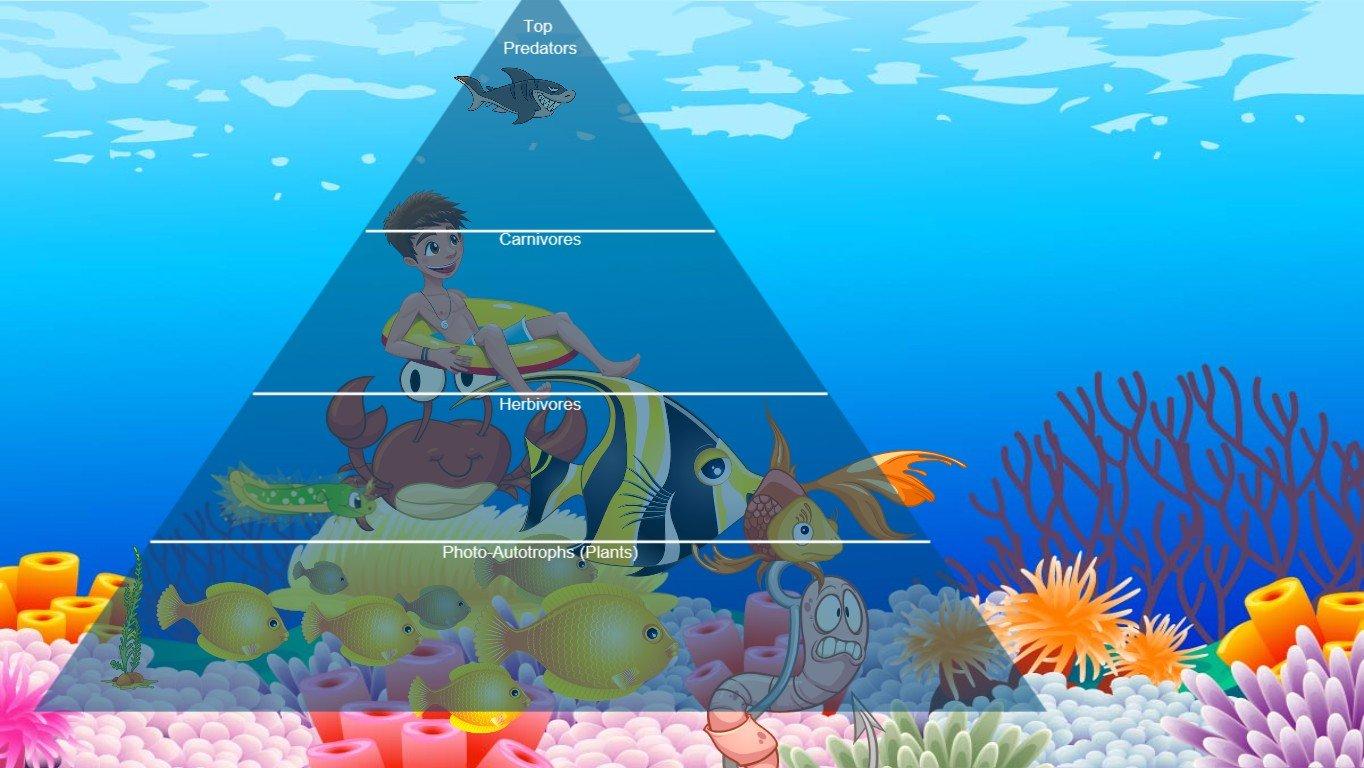 ECOLOGICAL PYRAMID