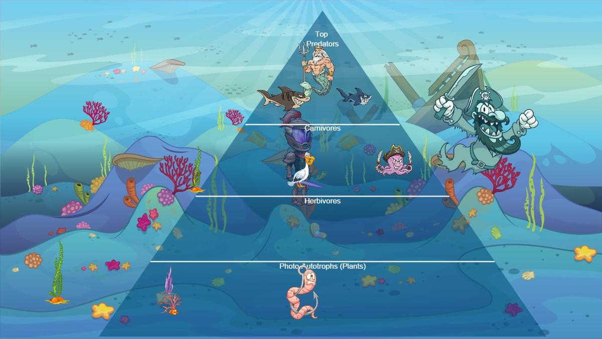 Ocean Ecological Pyramid