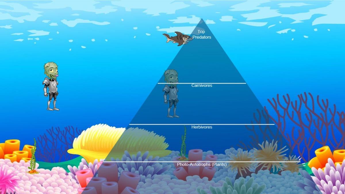 Ocean Ecological Pyramid