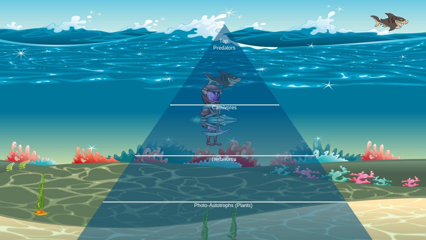 Ocean Ecological Pyramid