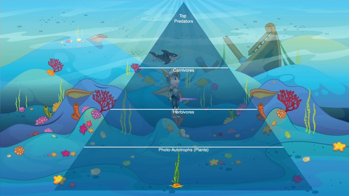 Ocean Ecological Pyramid