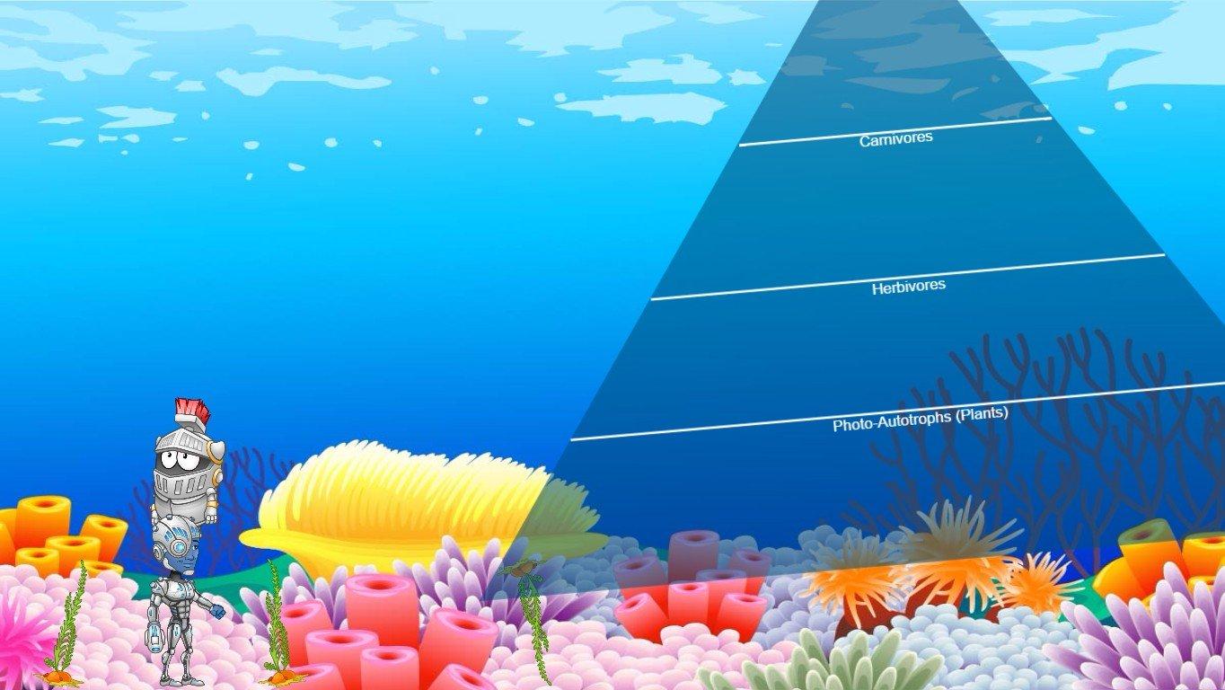 Ocean Ecological Pyramid