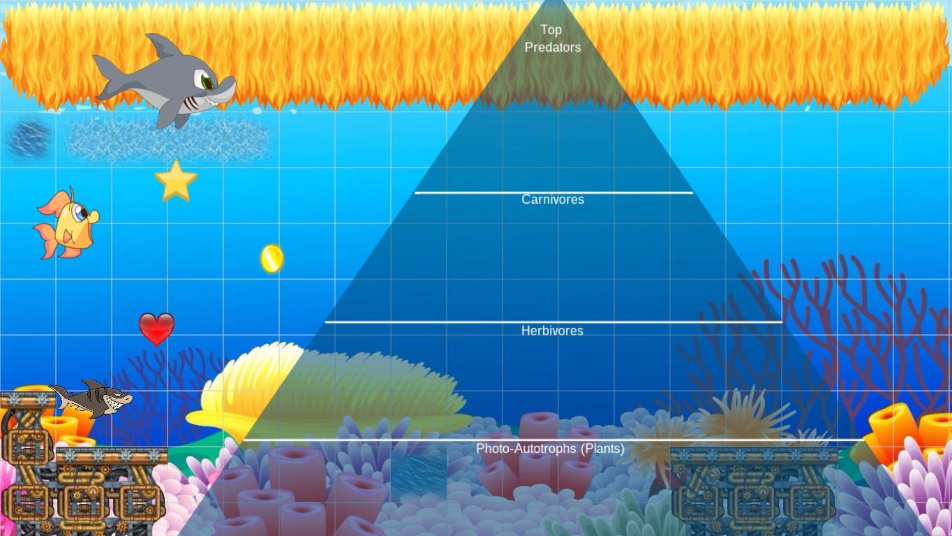 Ocean Ecological Pyramid