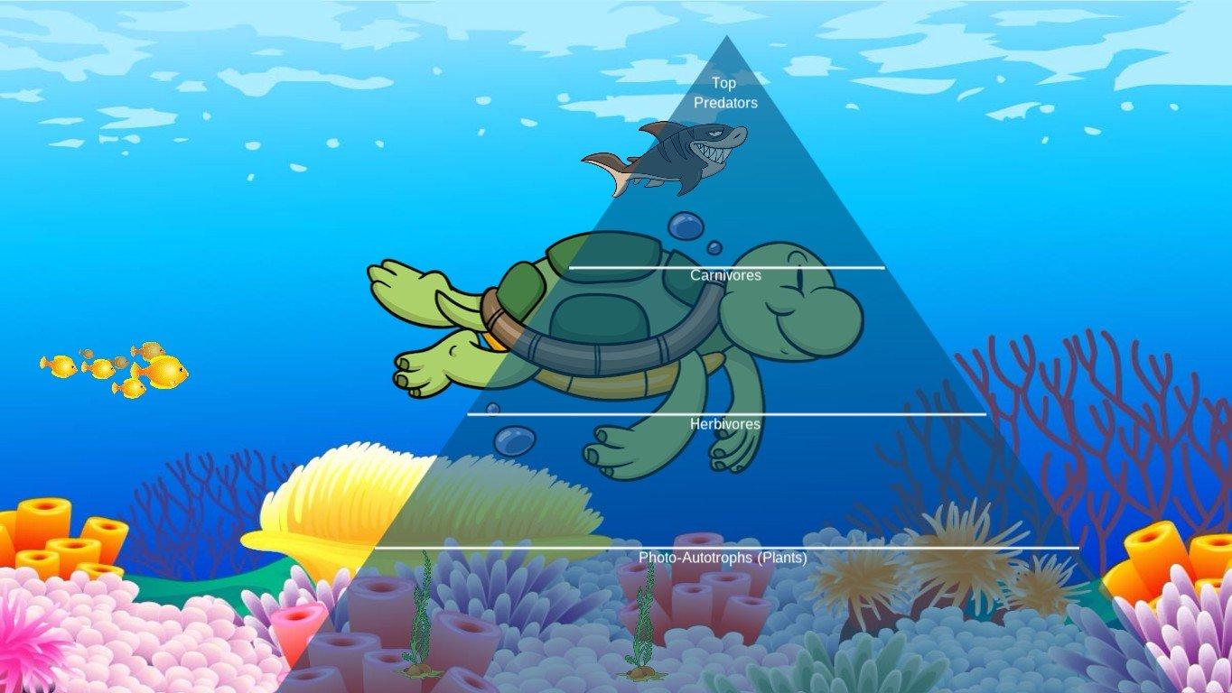 Ocean Ecological Pyramid