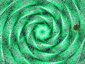 Spiral Turtle