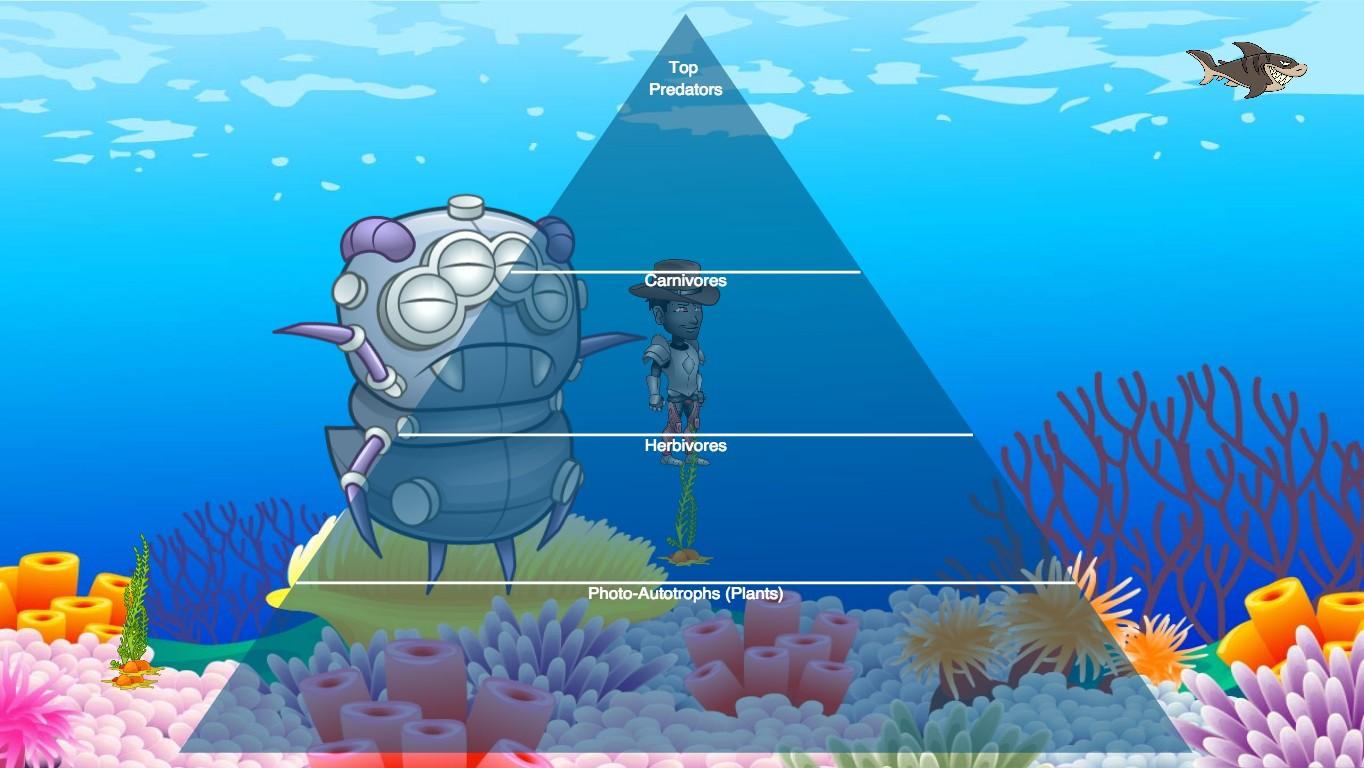 Ocean Ecological Pyramid