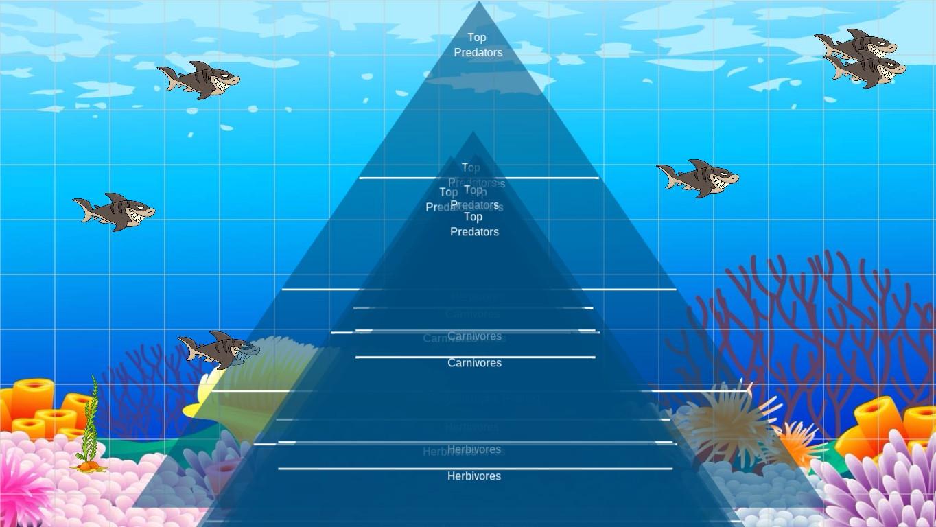 Ocean Ecological Pyramid