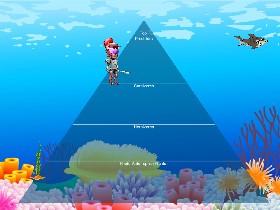 Ecological Pyramid 1