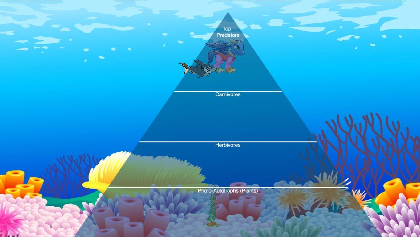 Ocean Ecological Pyramid