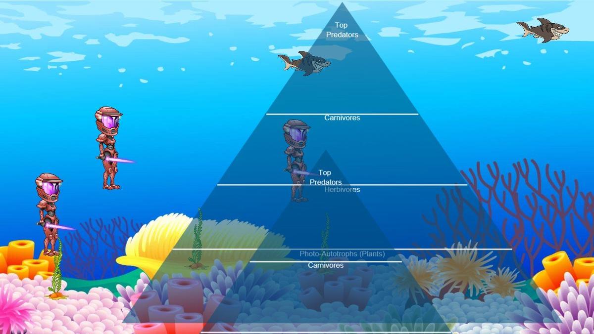 Ocean Ecological Pyramid