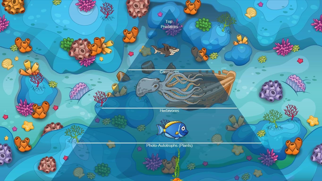 Ocean Ecological Pyramid