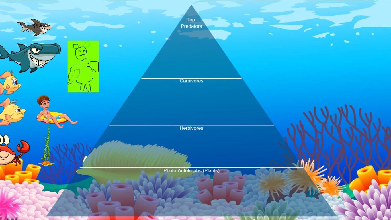 Ocean Ecological Pyramid