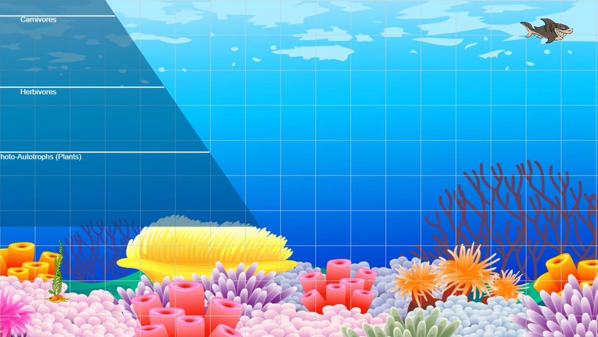 Ocean Ecological Pyramid