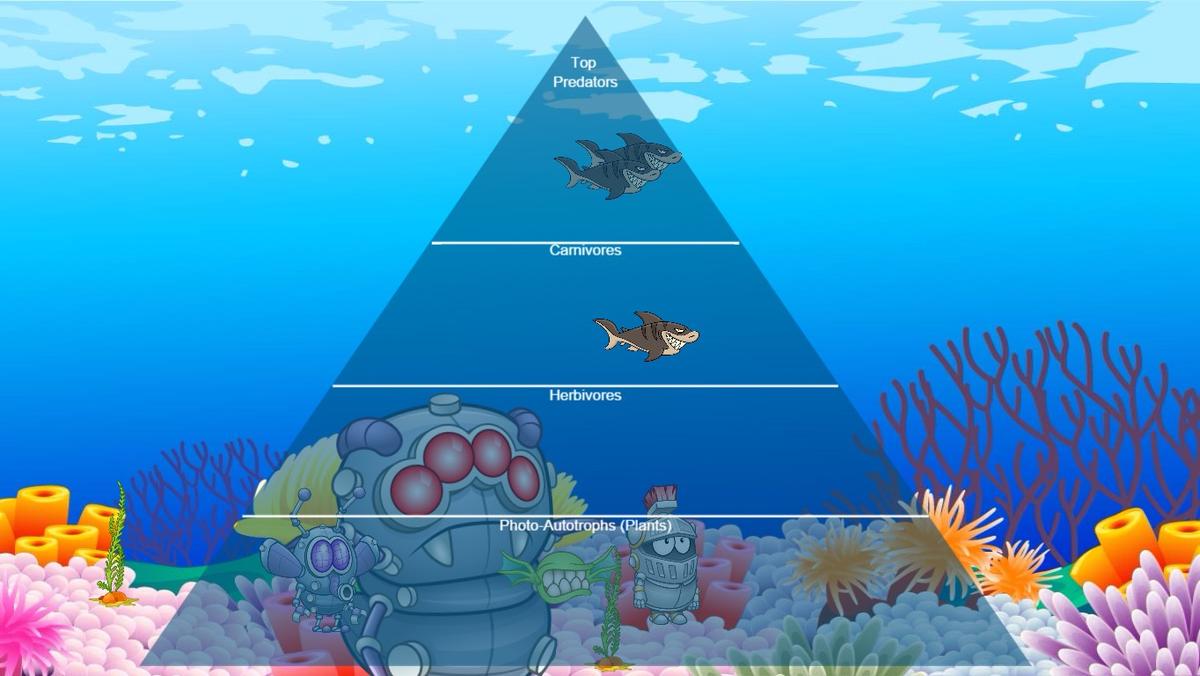 Ocean Ecological Pyramid