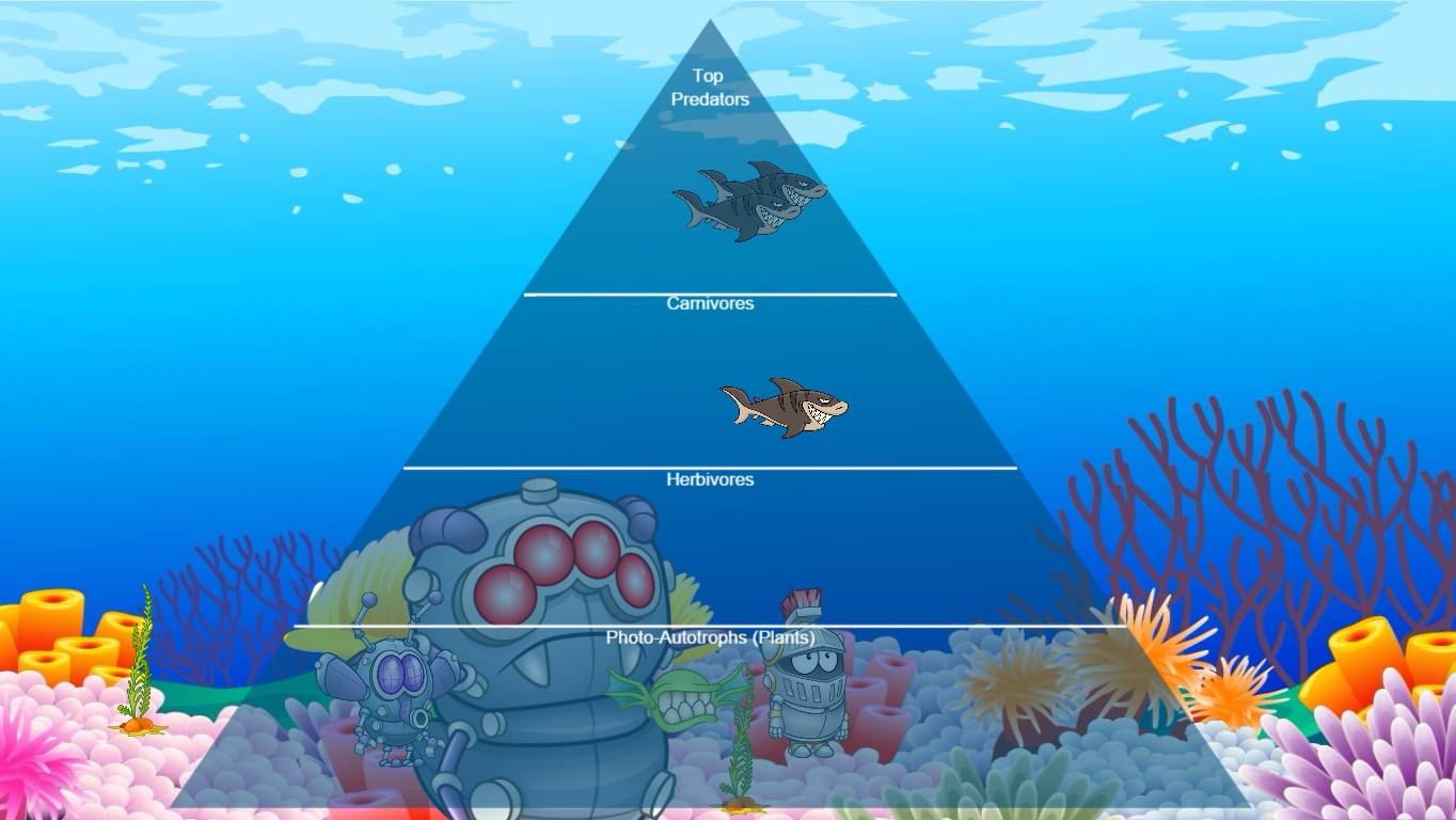 Ocean Ecological Pyramid