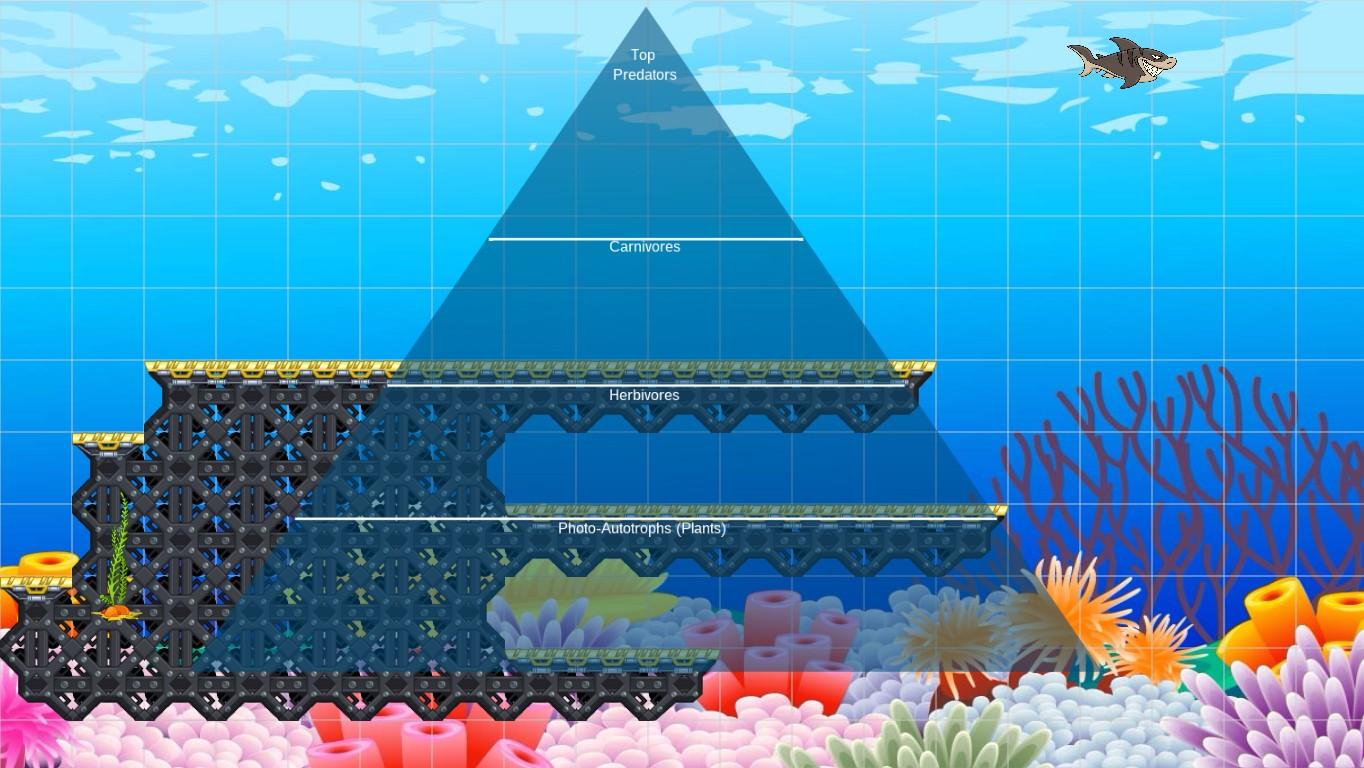 Ocean Ecological Pyramid