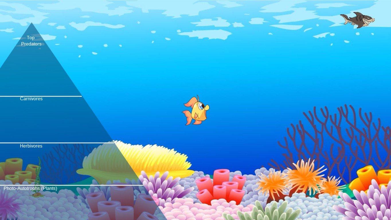 Ocean Ecological Pyramid