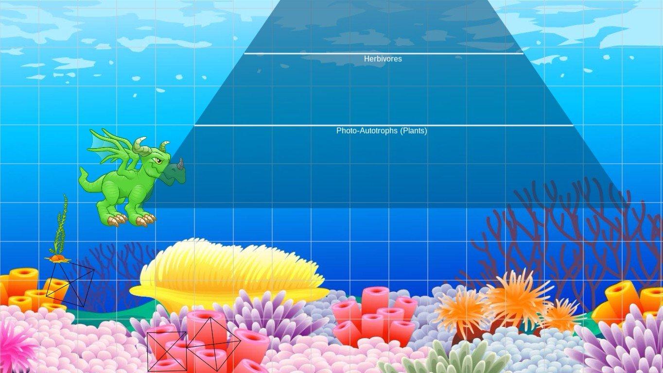 Ocean Ecological Pyramid