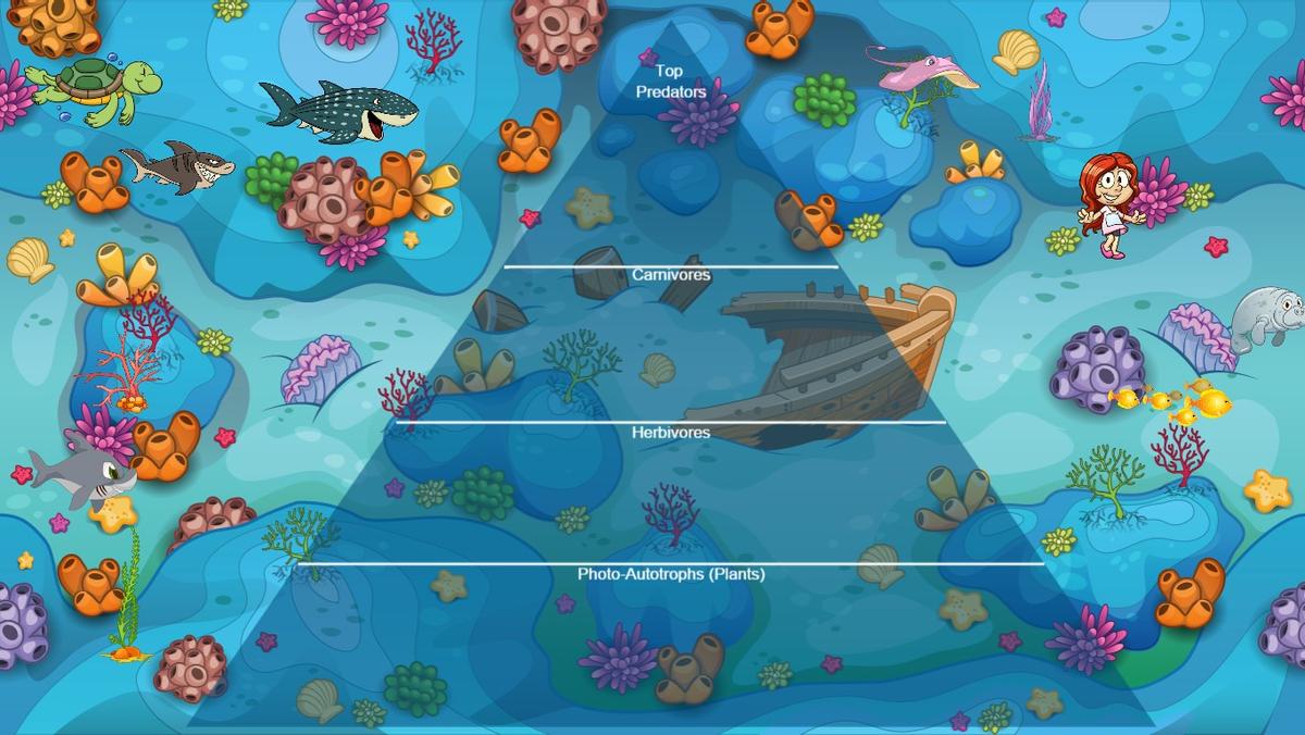 Ocean Ecosystems