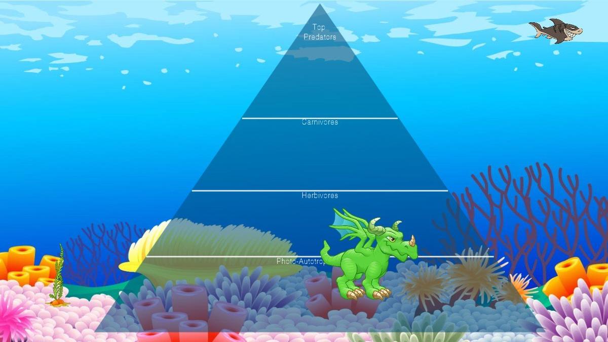 Ocean Ecological Pyramid