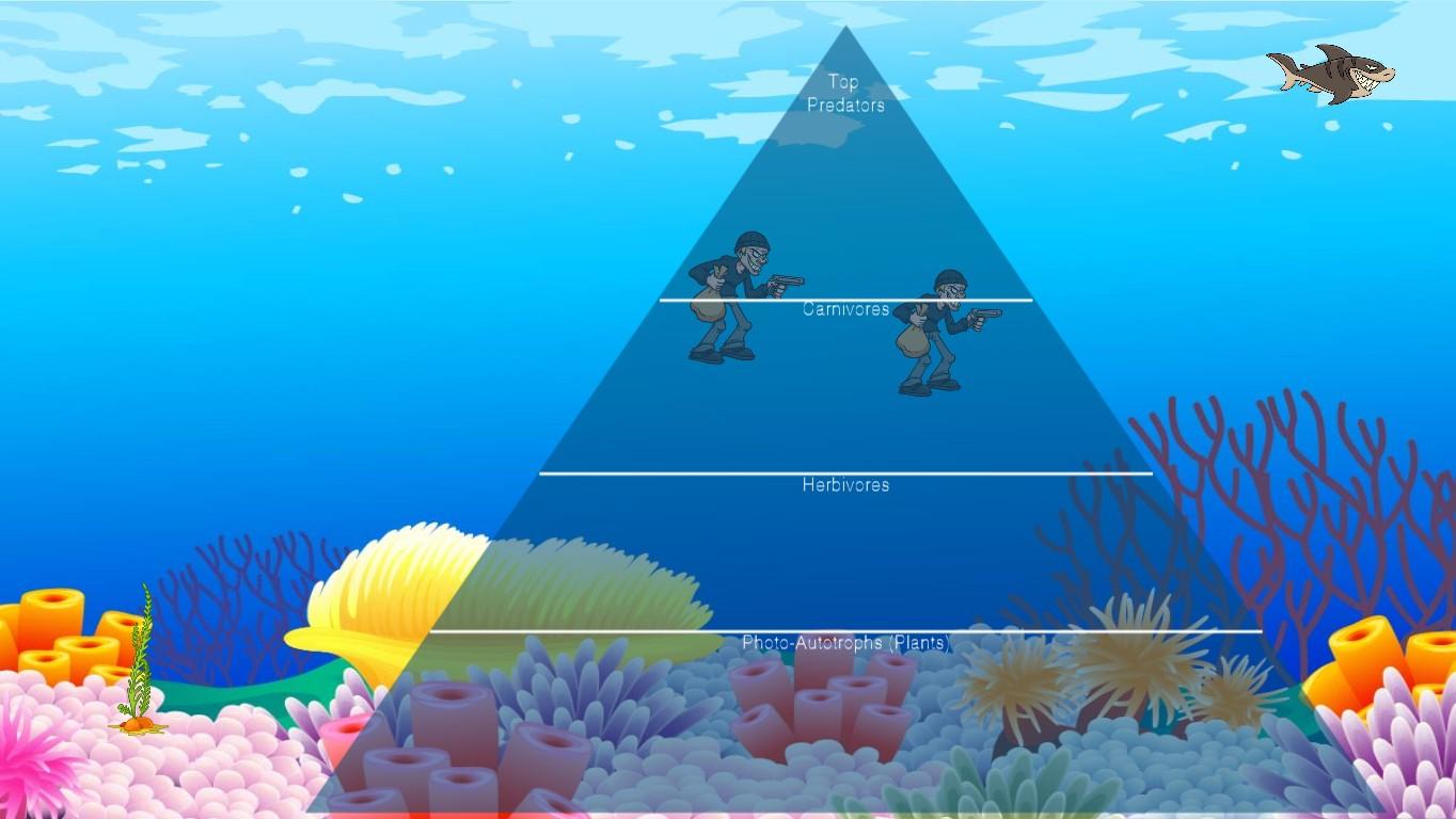 Ocean Ecological Pyramid