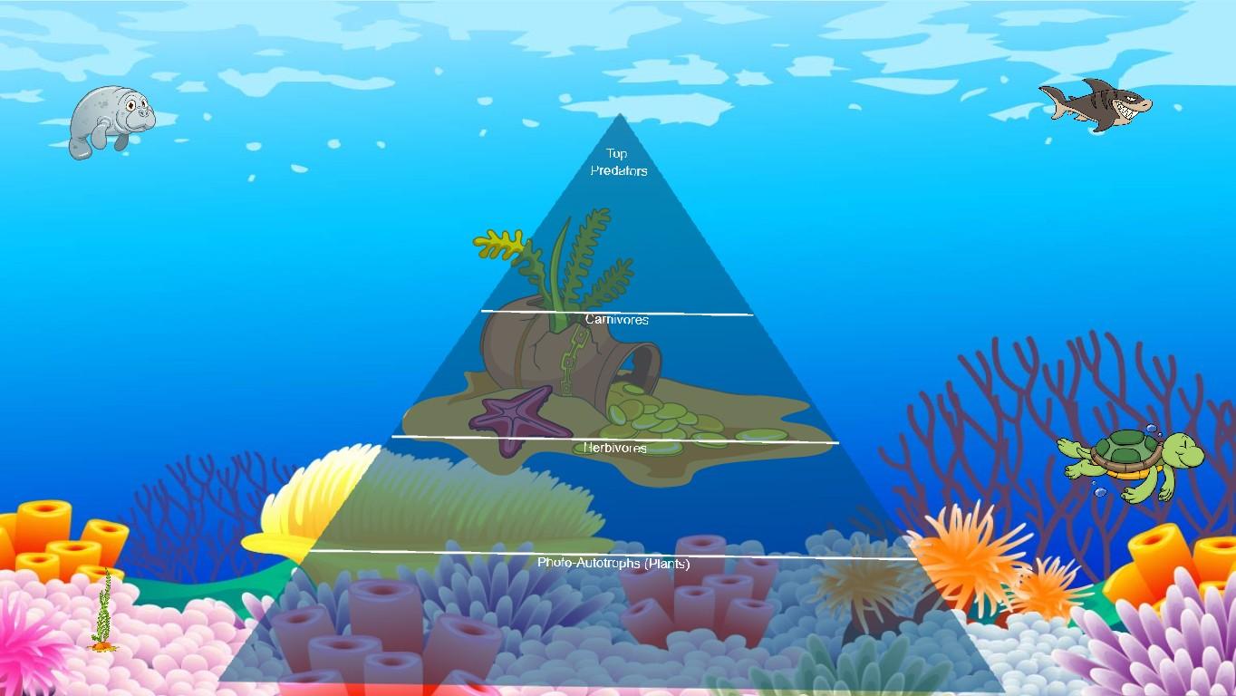 Ocean Ecological Pyramid