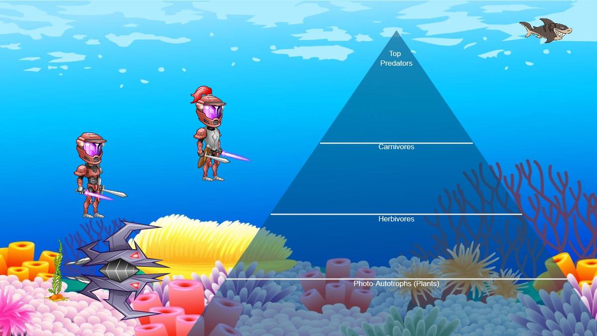 Ocean Ecological Pyramid