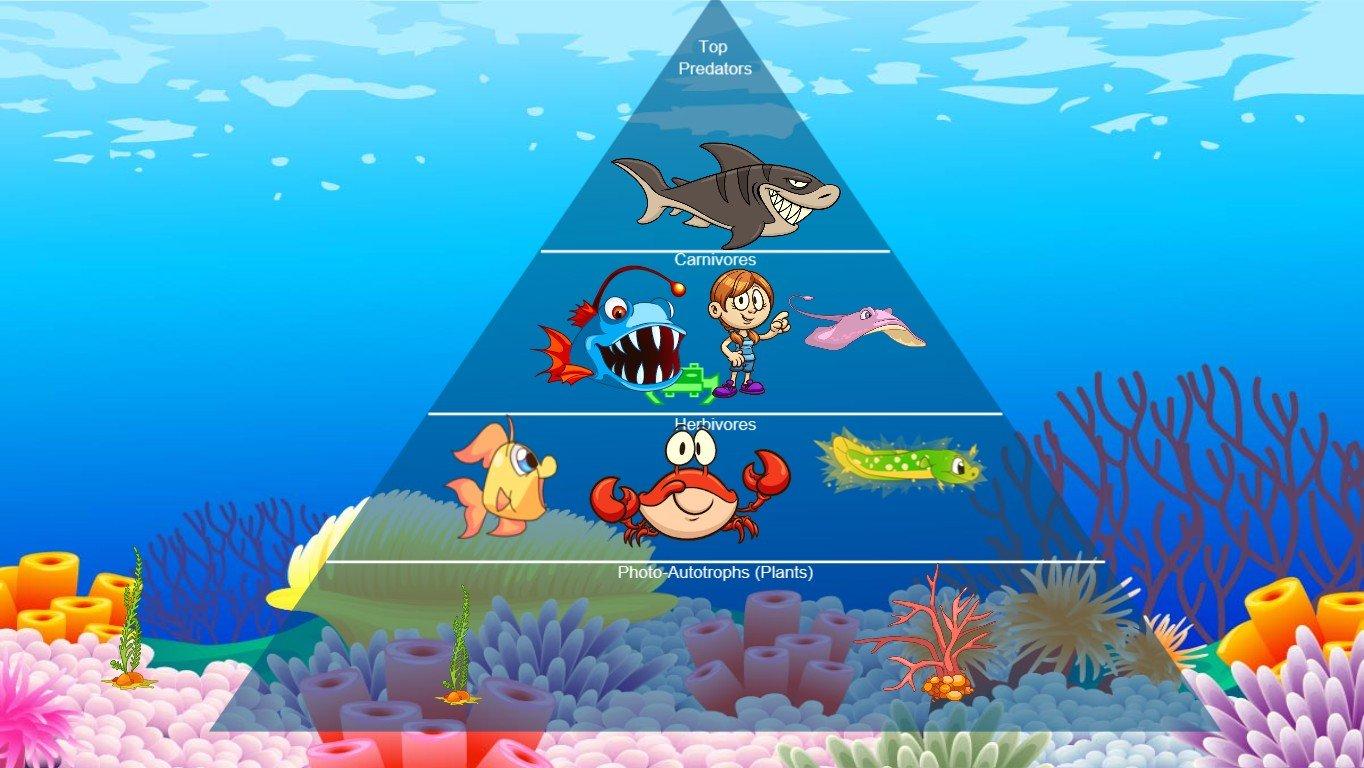 Ocean Ecological Pyramid