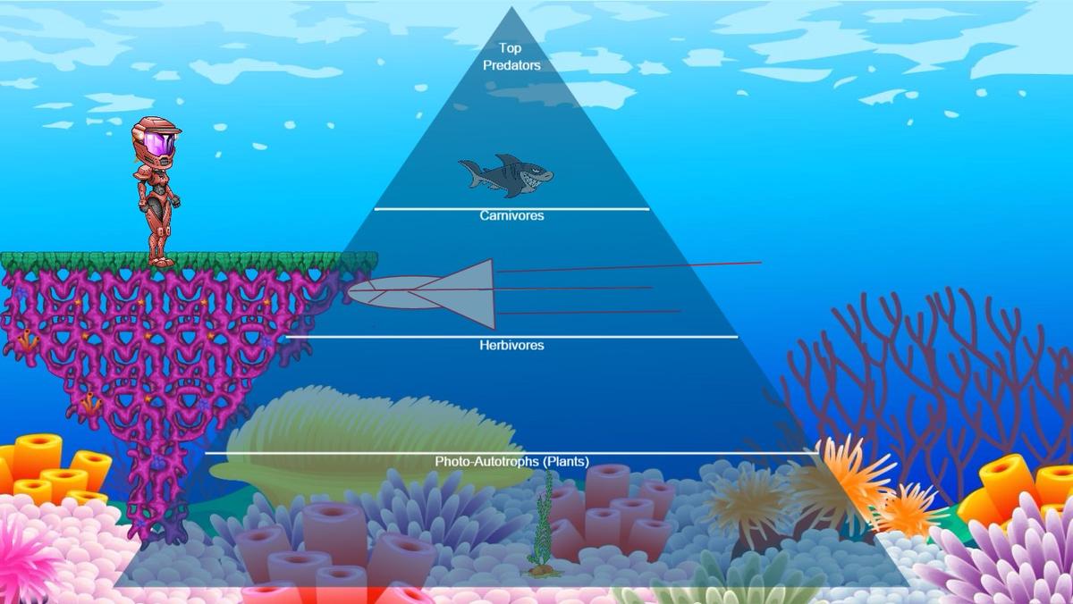 Ocean Ecological Pyramid