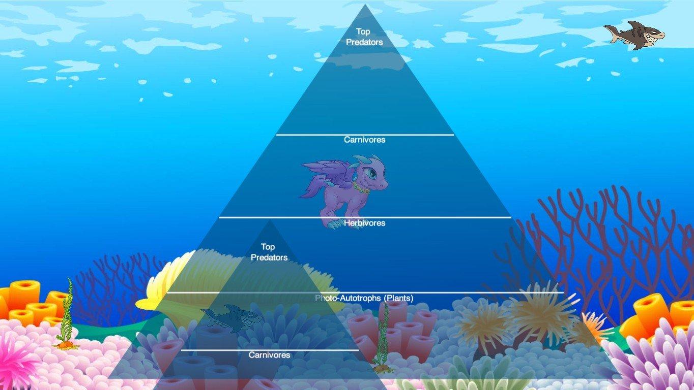 Ocean Ecological Pyramid