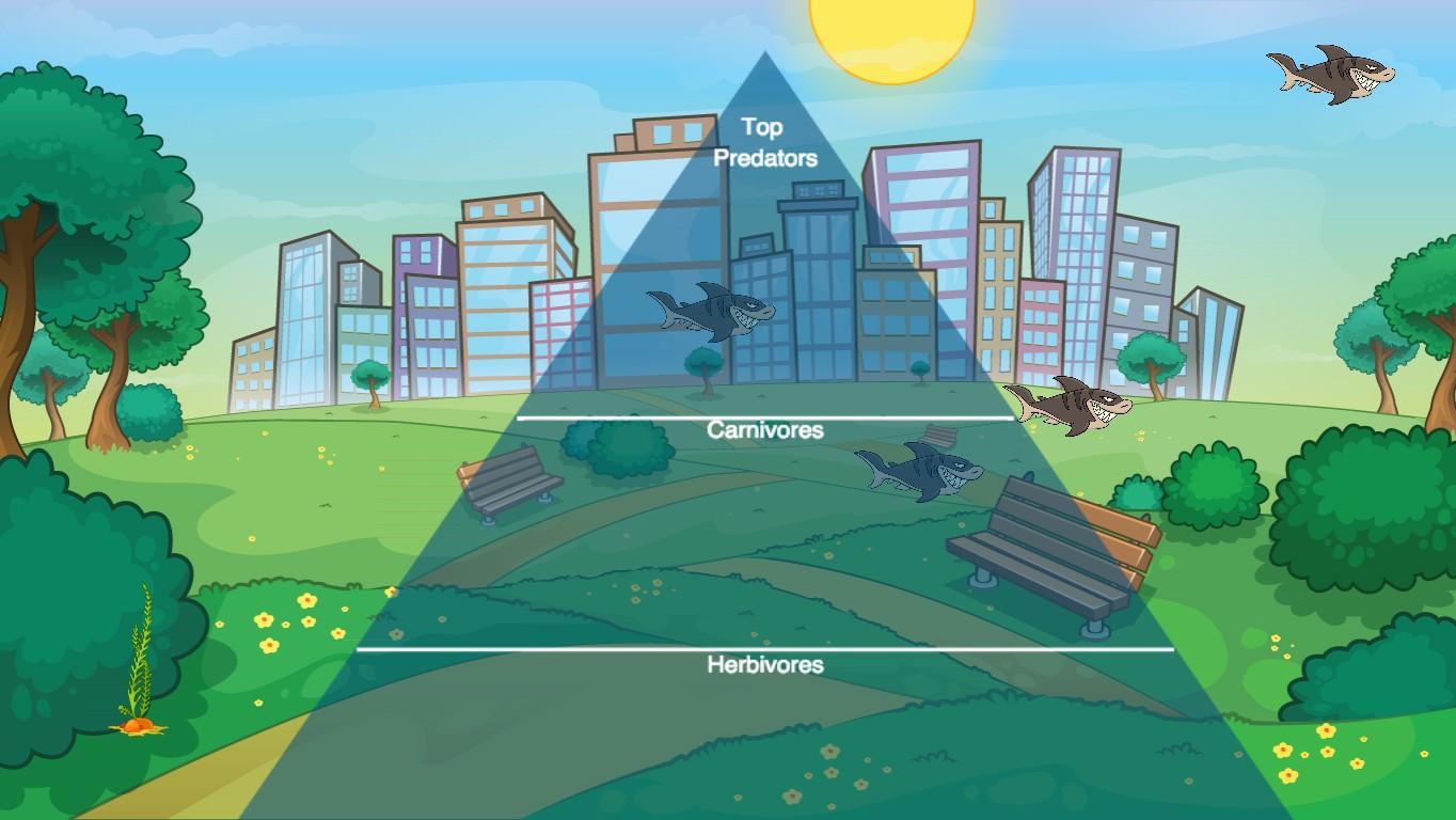 Ocean Ecological Pyramid