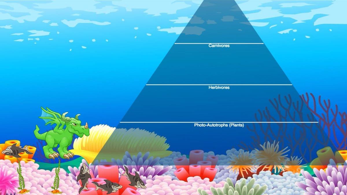 Ocean Ecological Pyramid