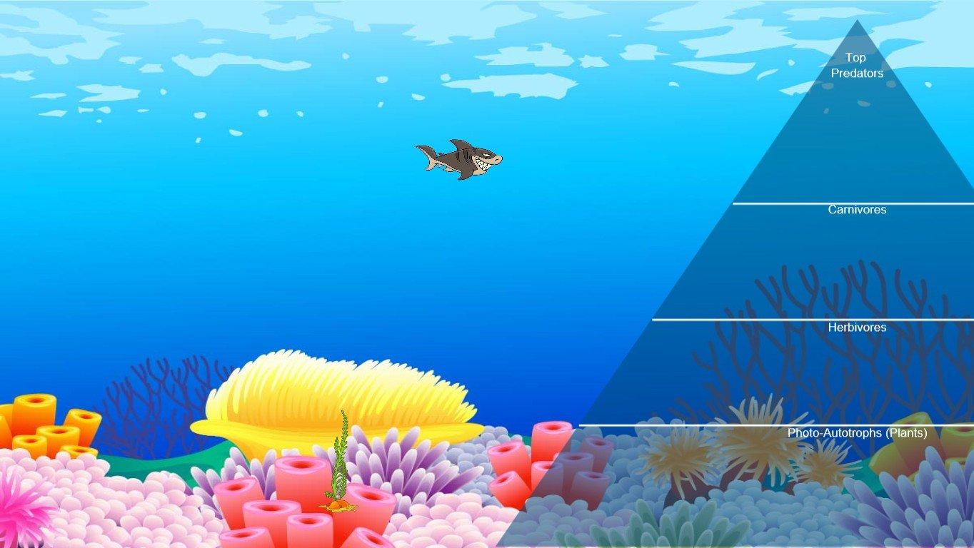 Ocean Ecological Pyramid