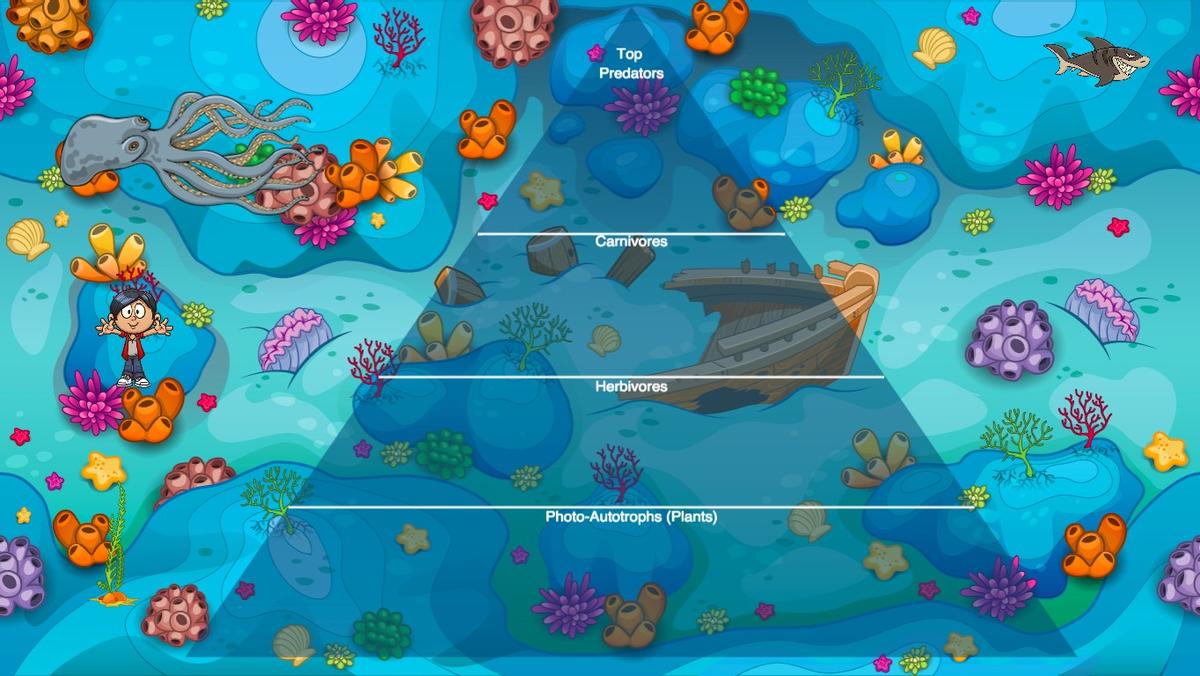 Ocean Ecological Pyramid (Unofficial Project)