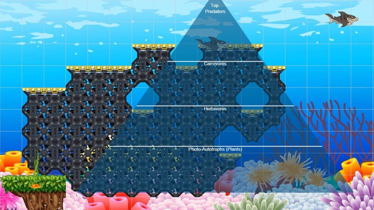 Ocean Ecological Pyramid