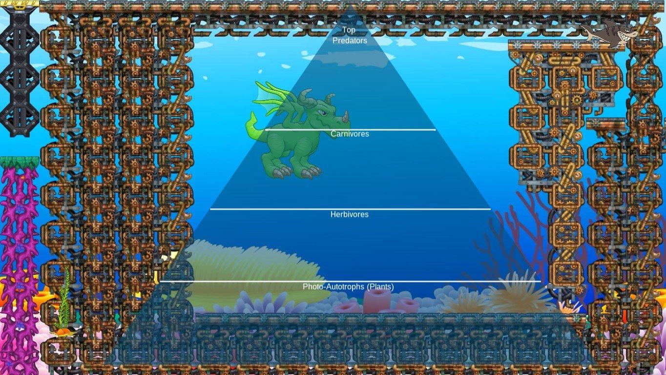 Ocean Ecological Pyramid