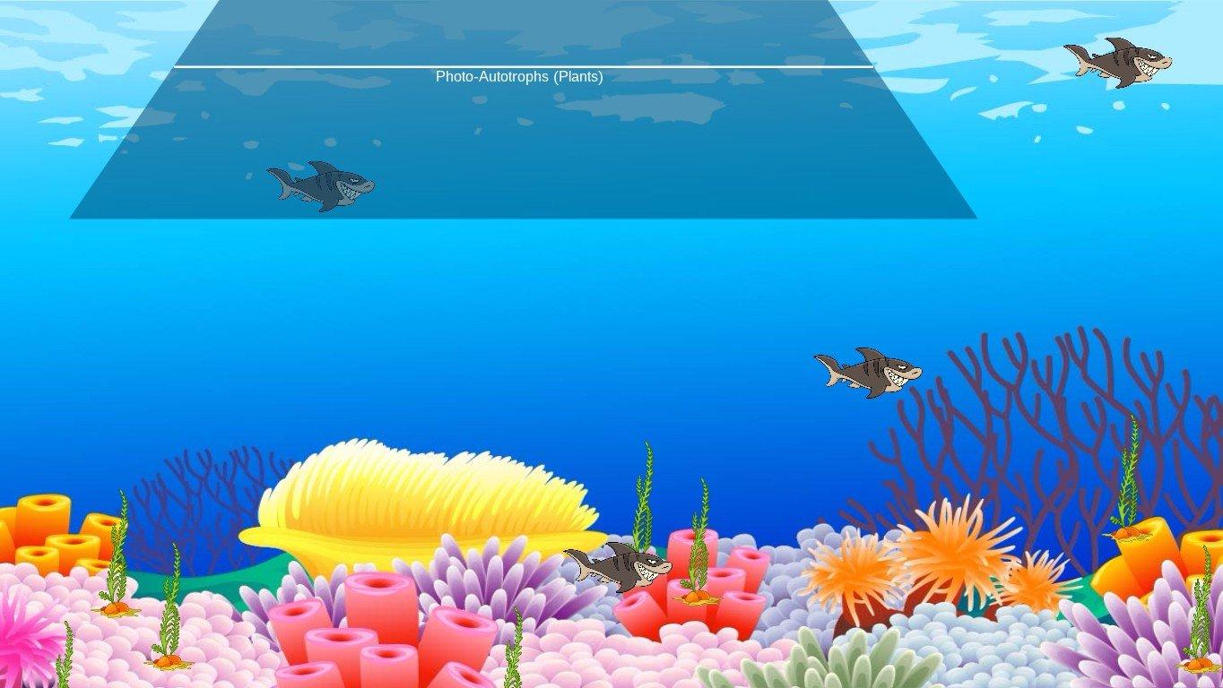 Ocean Ecological Pyramid