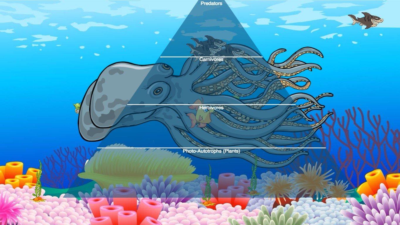 Ocean Ecological Pyramid