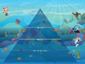 Ecological Pyramid 1