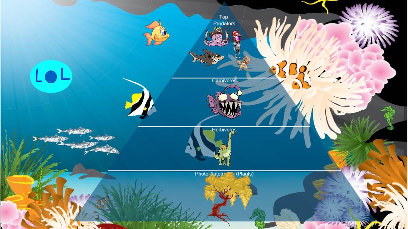 Ocean Ecological Pyramid