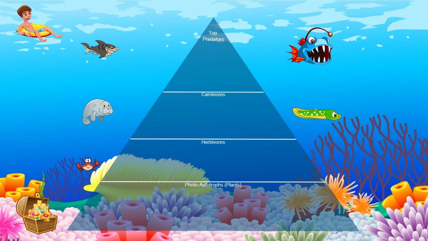 Ocean Ecological Pyramid