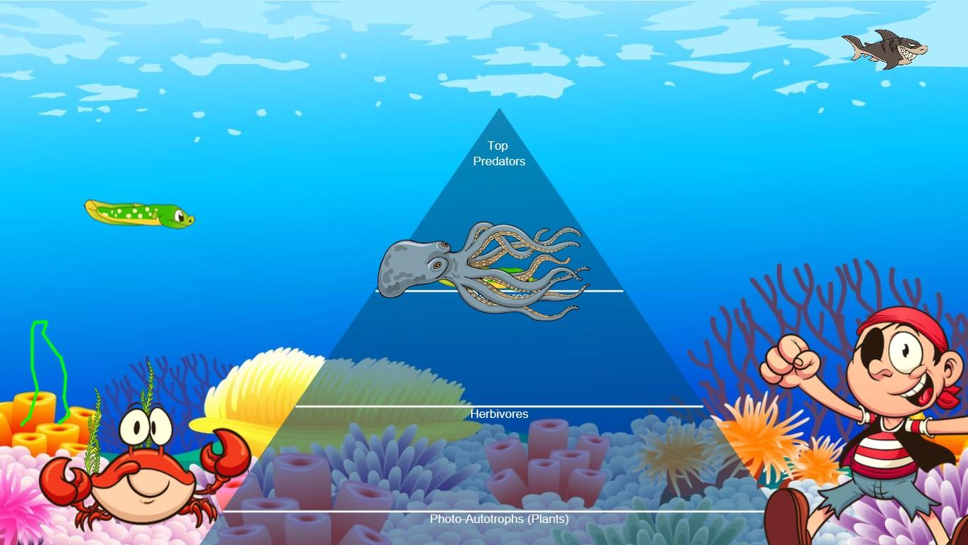 Ocean Ecological Pyramid