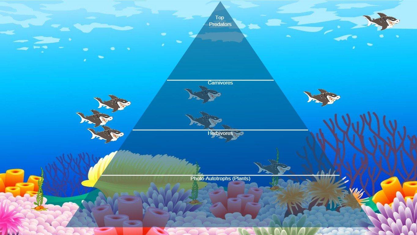 Ocean Ecological Pyramid of doom