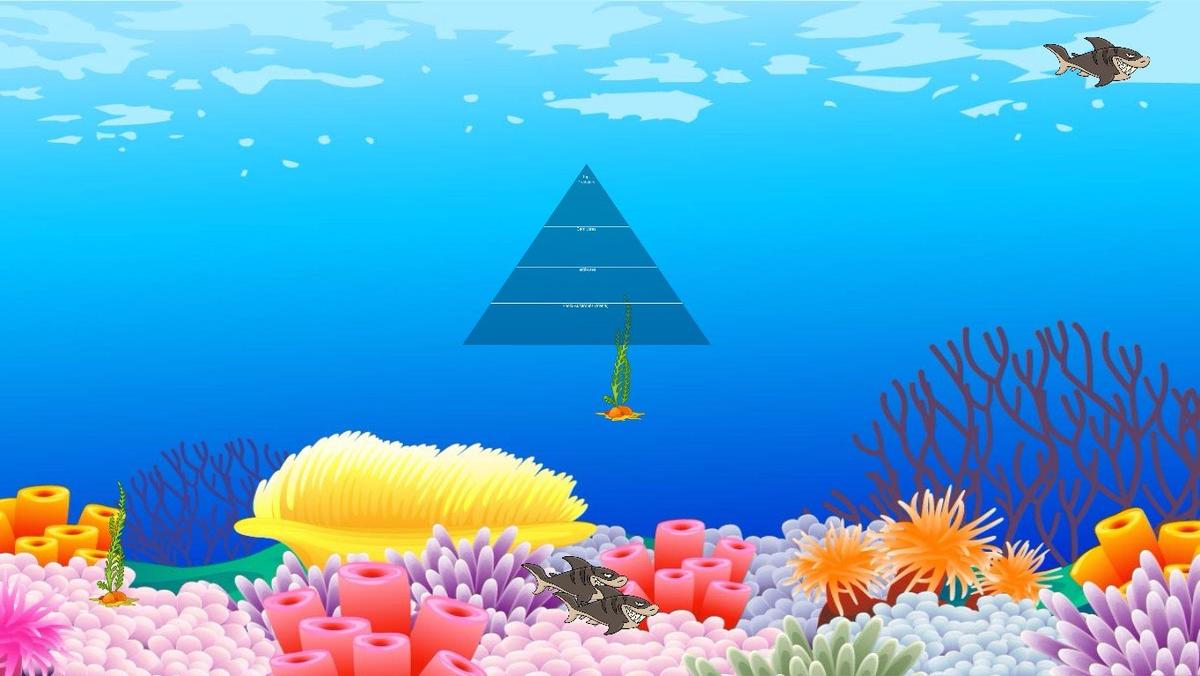 Ocean Ecological Pyramid