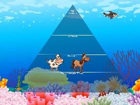 Ecological Pyramid 1