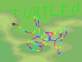 TURTLE DRAW!!!