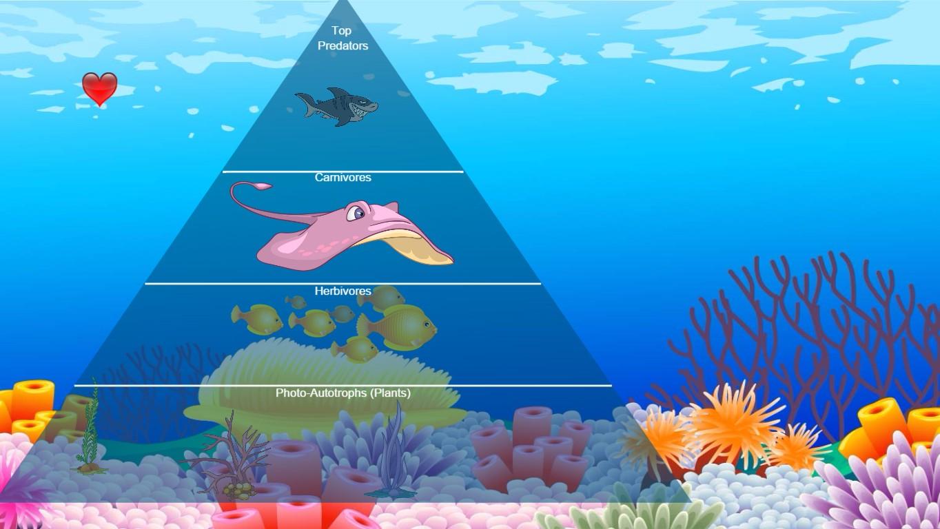 Ocean Ecological Pyramid