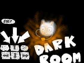 Dark Room! 1