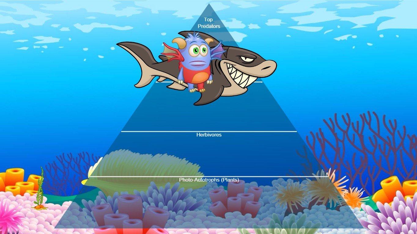 Ocean Ecological Pyramid