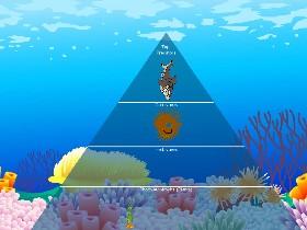 Ecological Pyramid 4